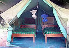 Mara Springs Safari Camp